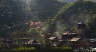 河南旅游文化：青龍山慈云寺第四屆桃花祈福文化節(jié)即將盛大開幕！