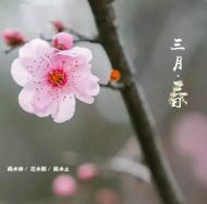 遍賞花花世界，不用東奔西走，來這一個城市就夠了！
